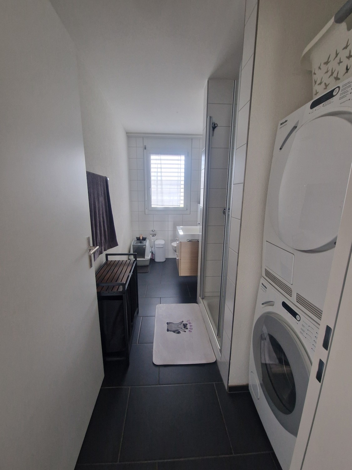 Room in a shared flat