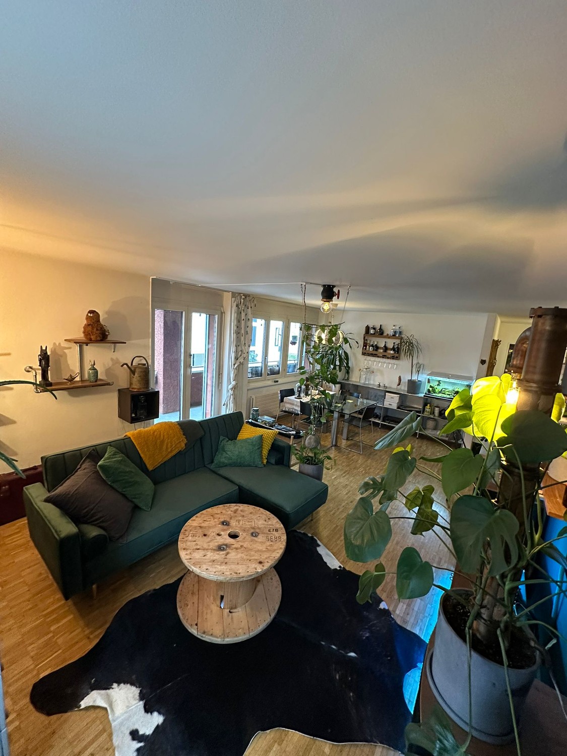 Room in a shared flat