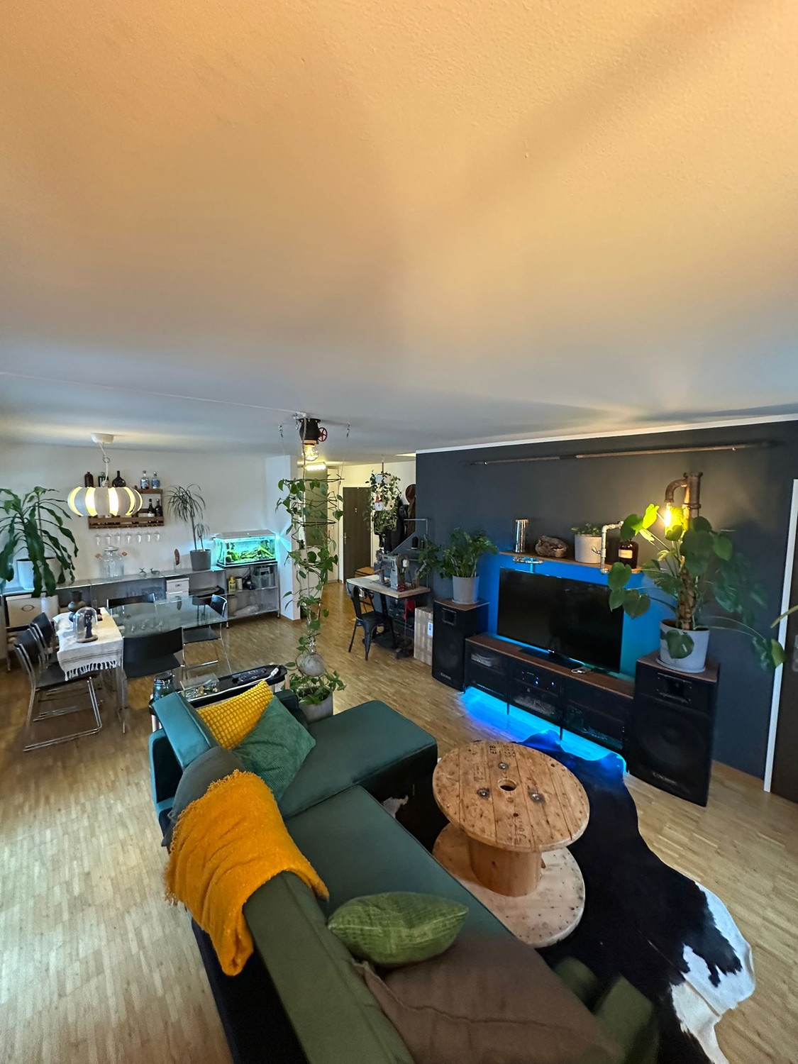 Room in a shared flat