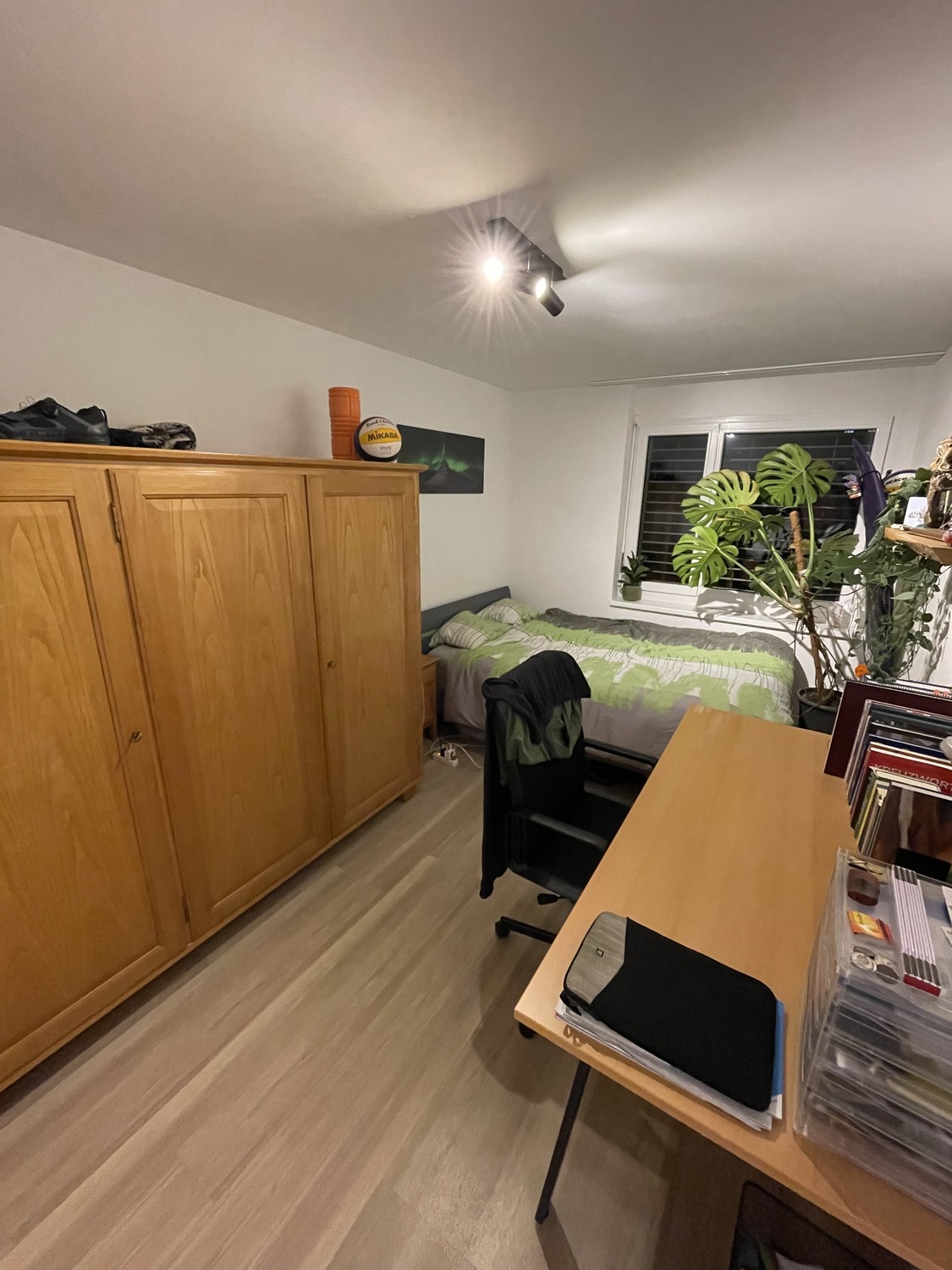 Room in a shared flat