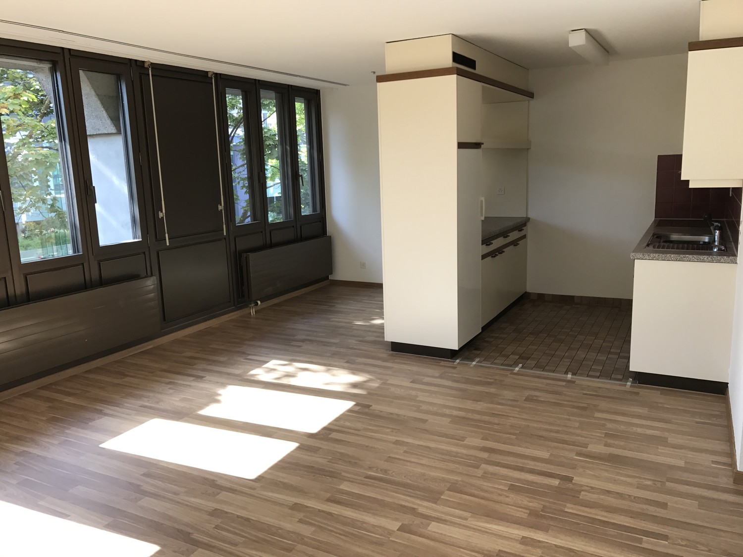 2 ½ rooms apartment