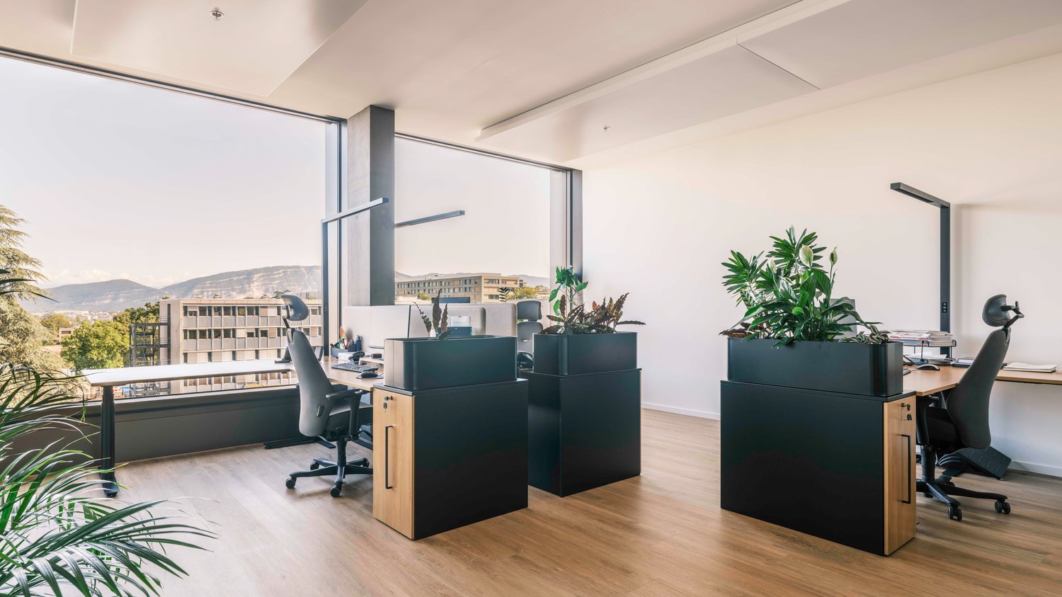 1250m² bureau