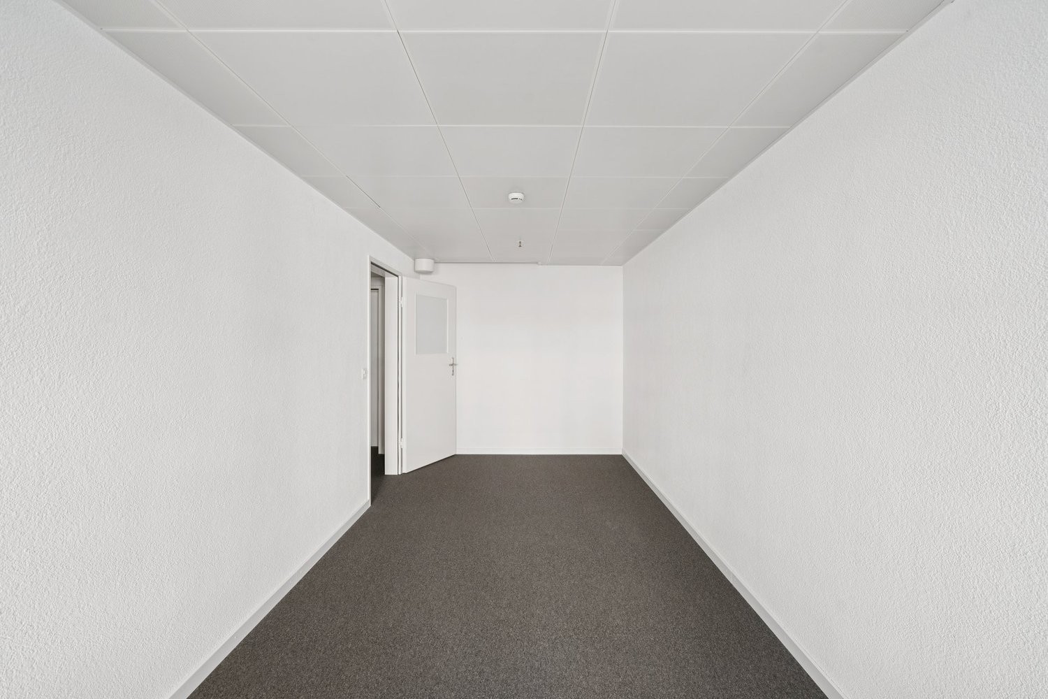 151m² office