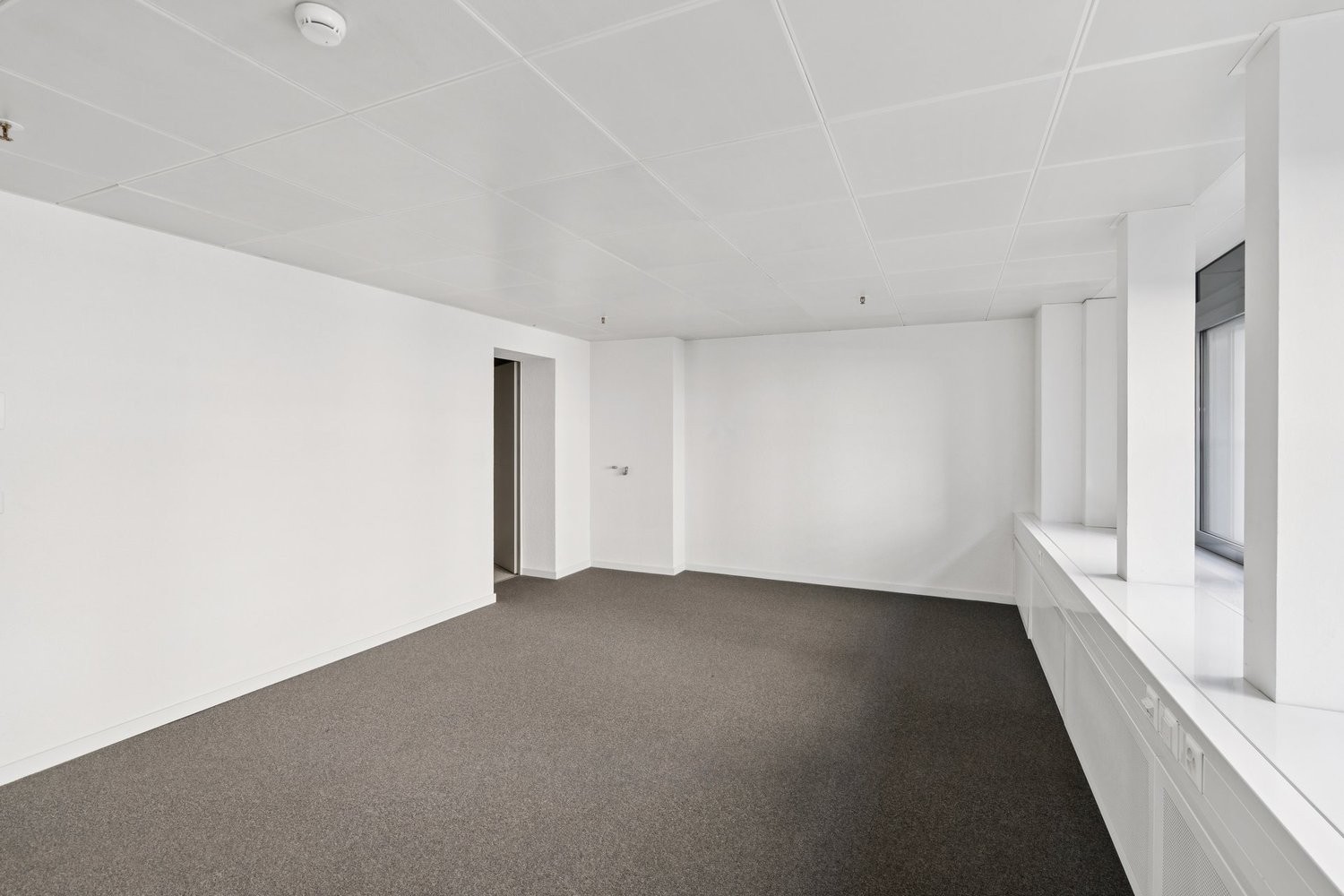 151m² office