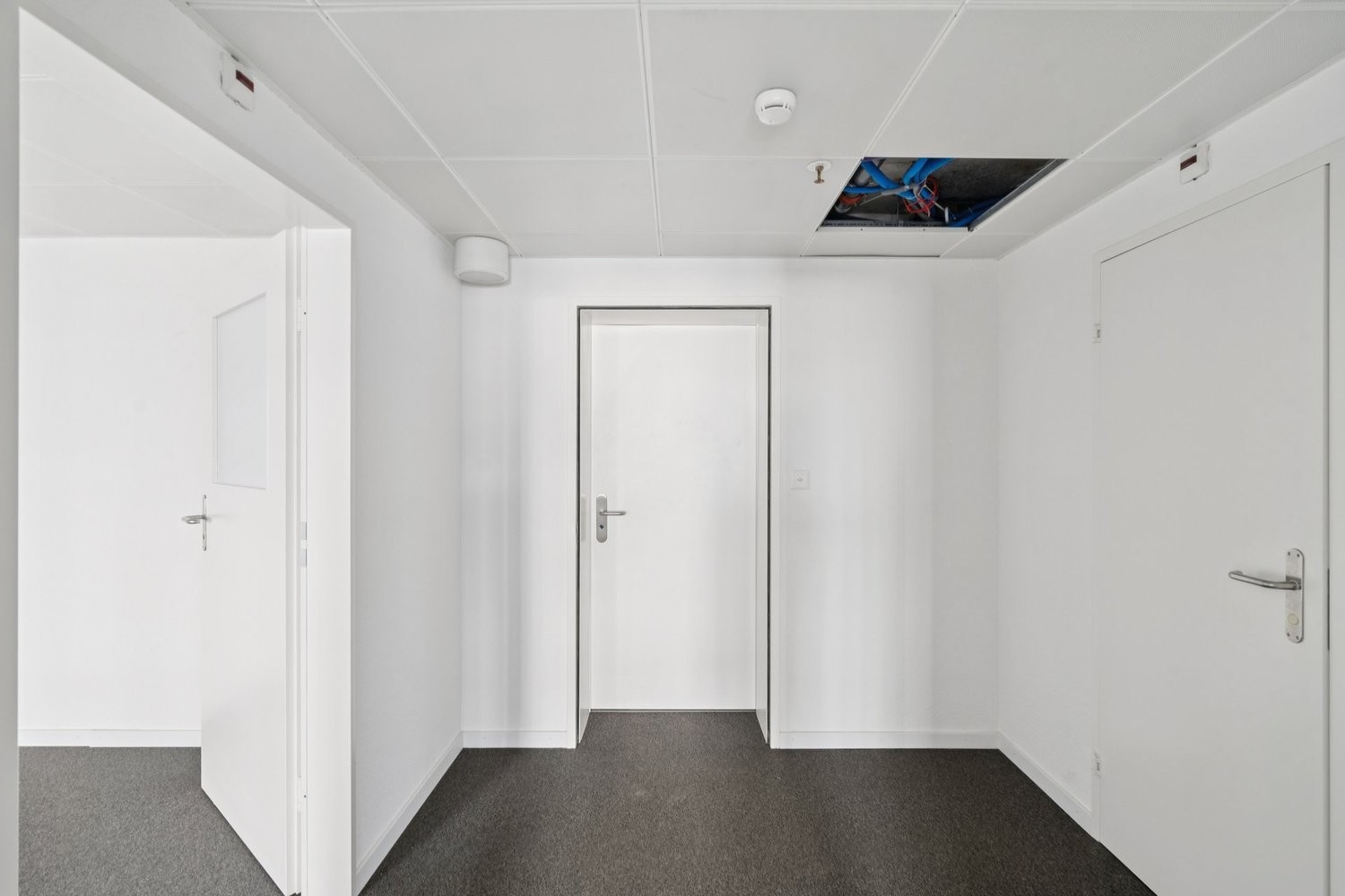 151m² office