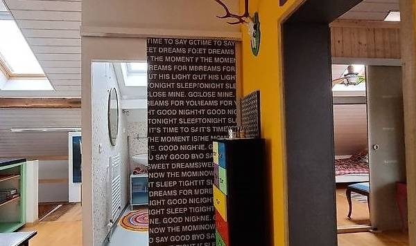 1 room apartment