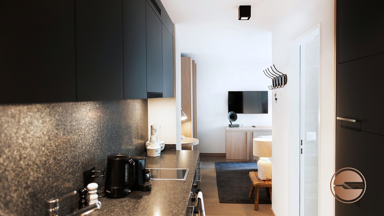 appartement 1 pièce