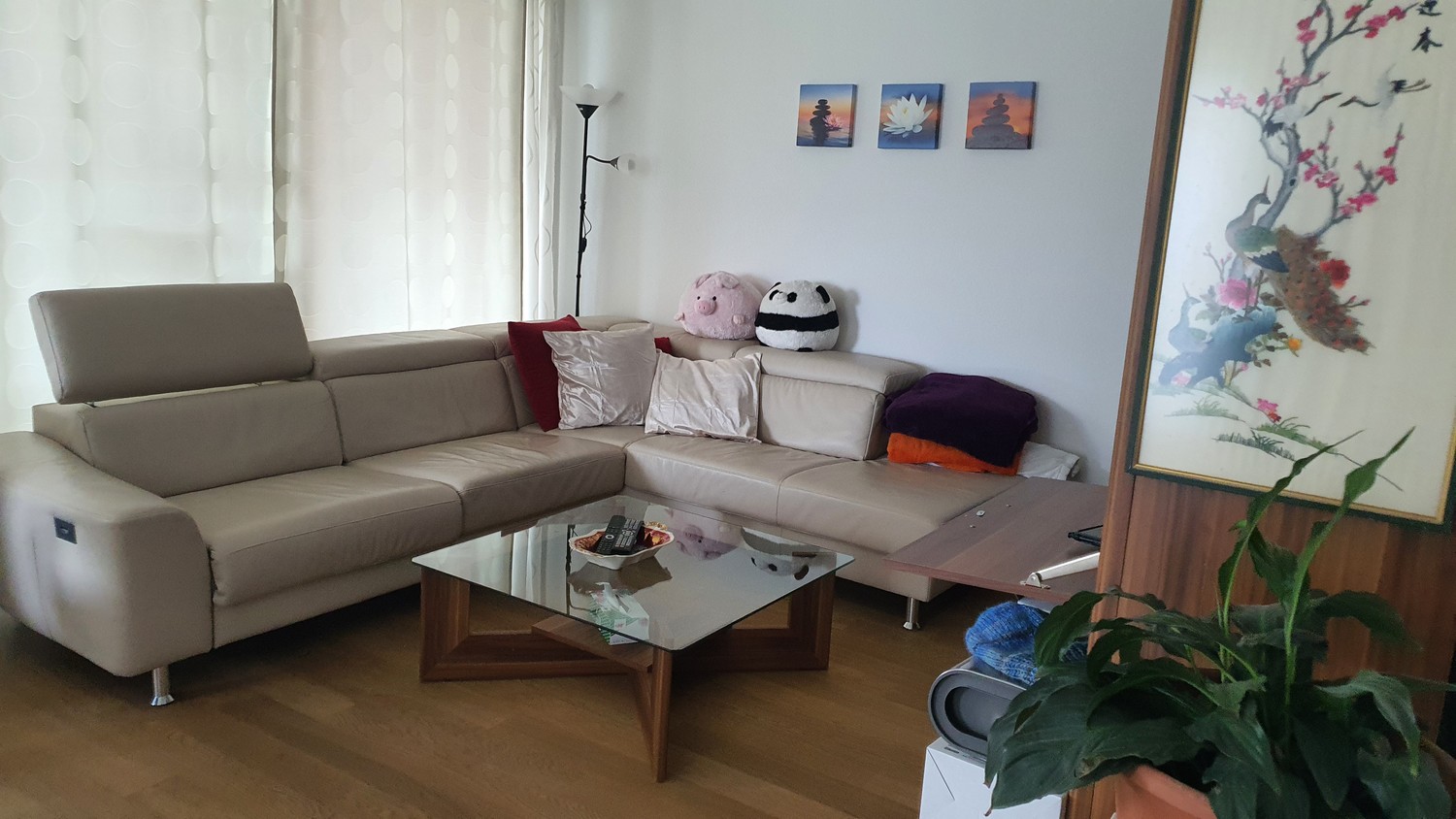 Zimmer in einer WG