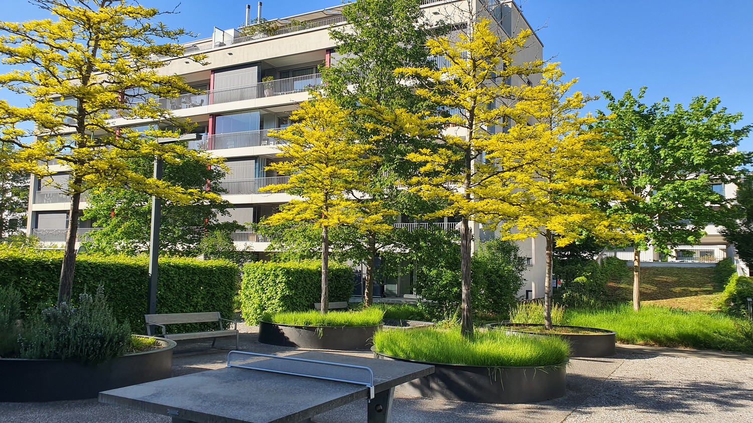 Zimmer in einer WG