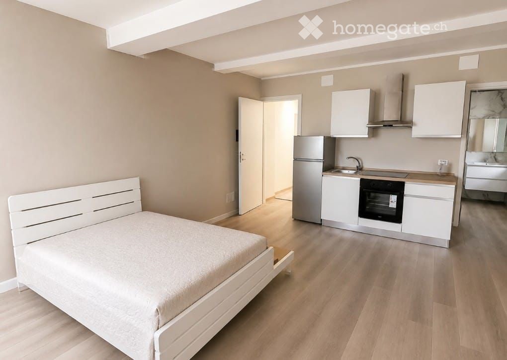 appartement 1 pièce