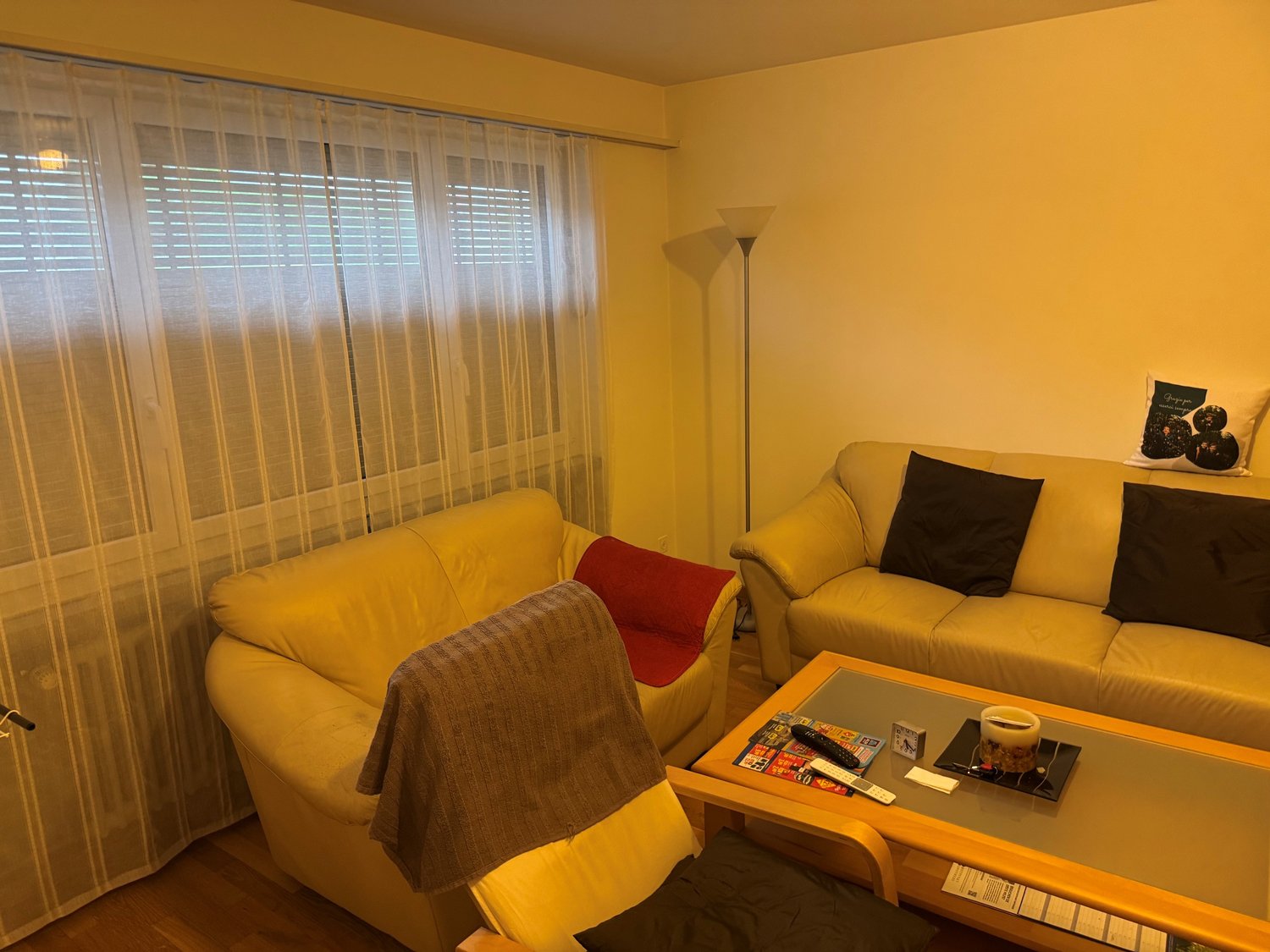 Appartamento di 3 ½ locali