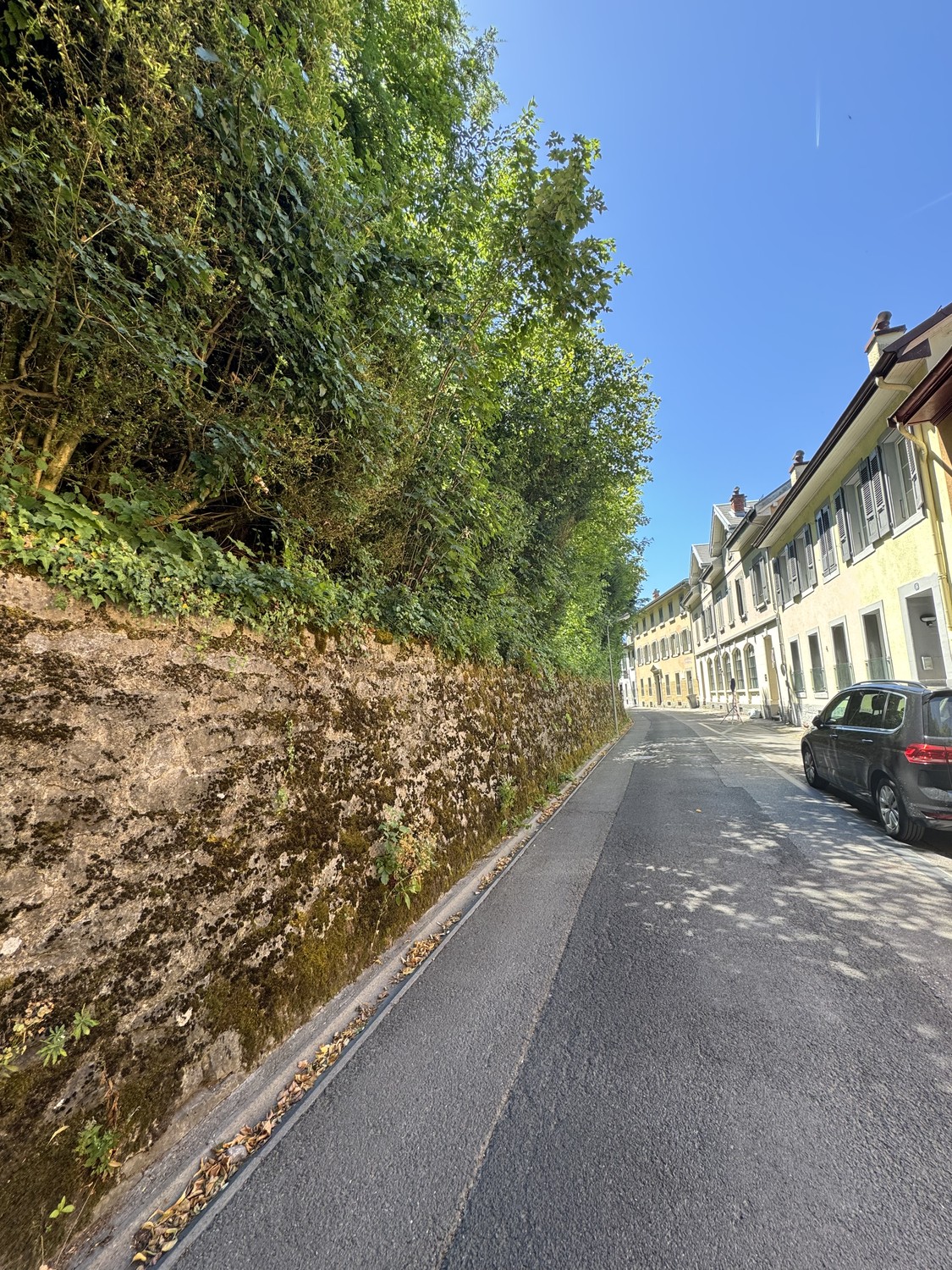 2 ½ Zimmer Wohnung