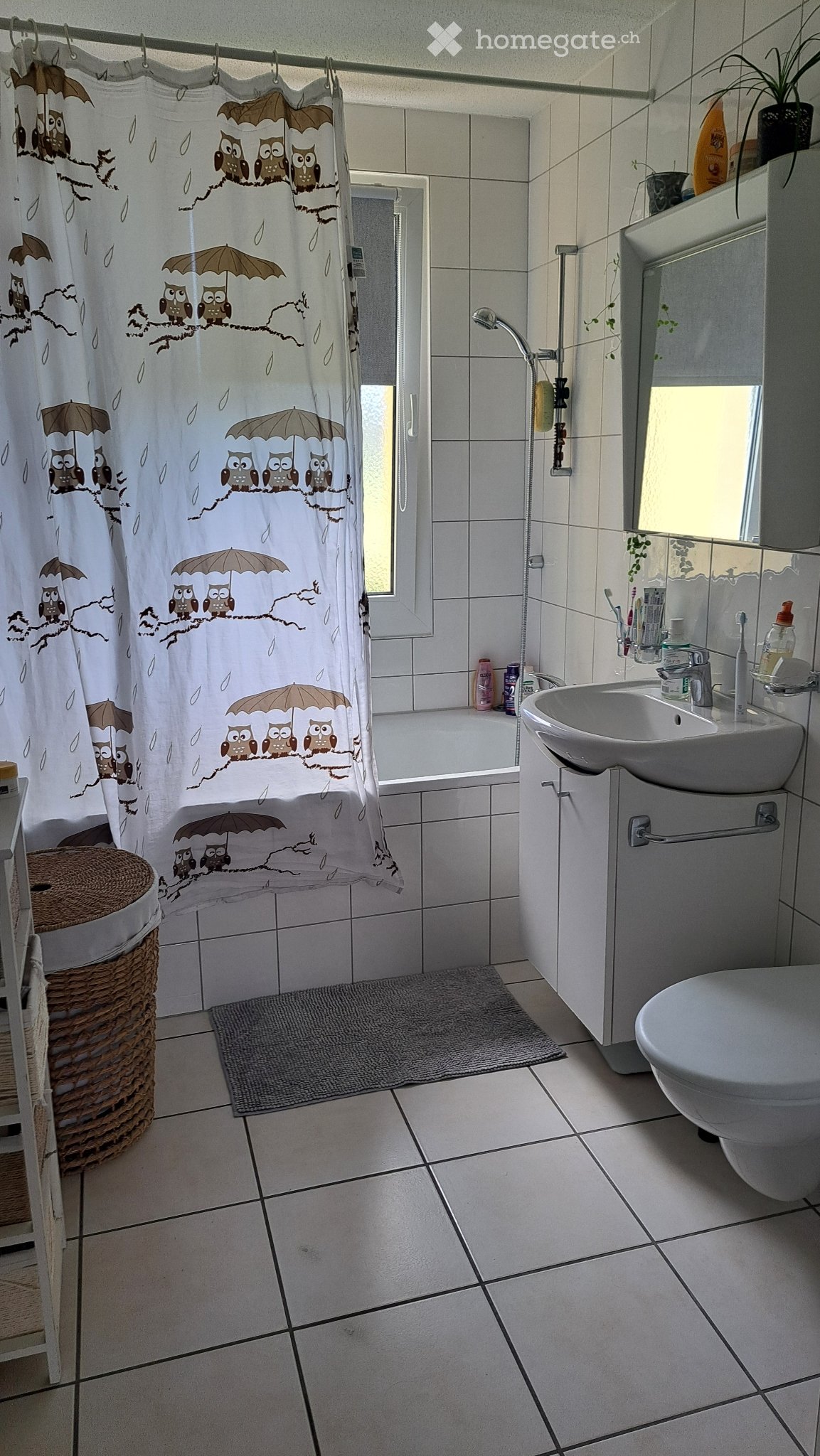 3-Zimmer-Wohnung