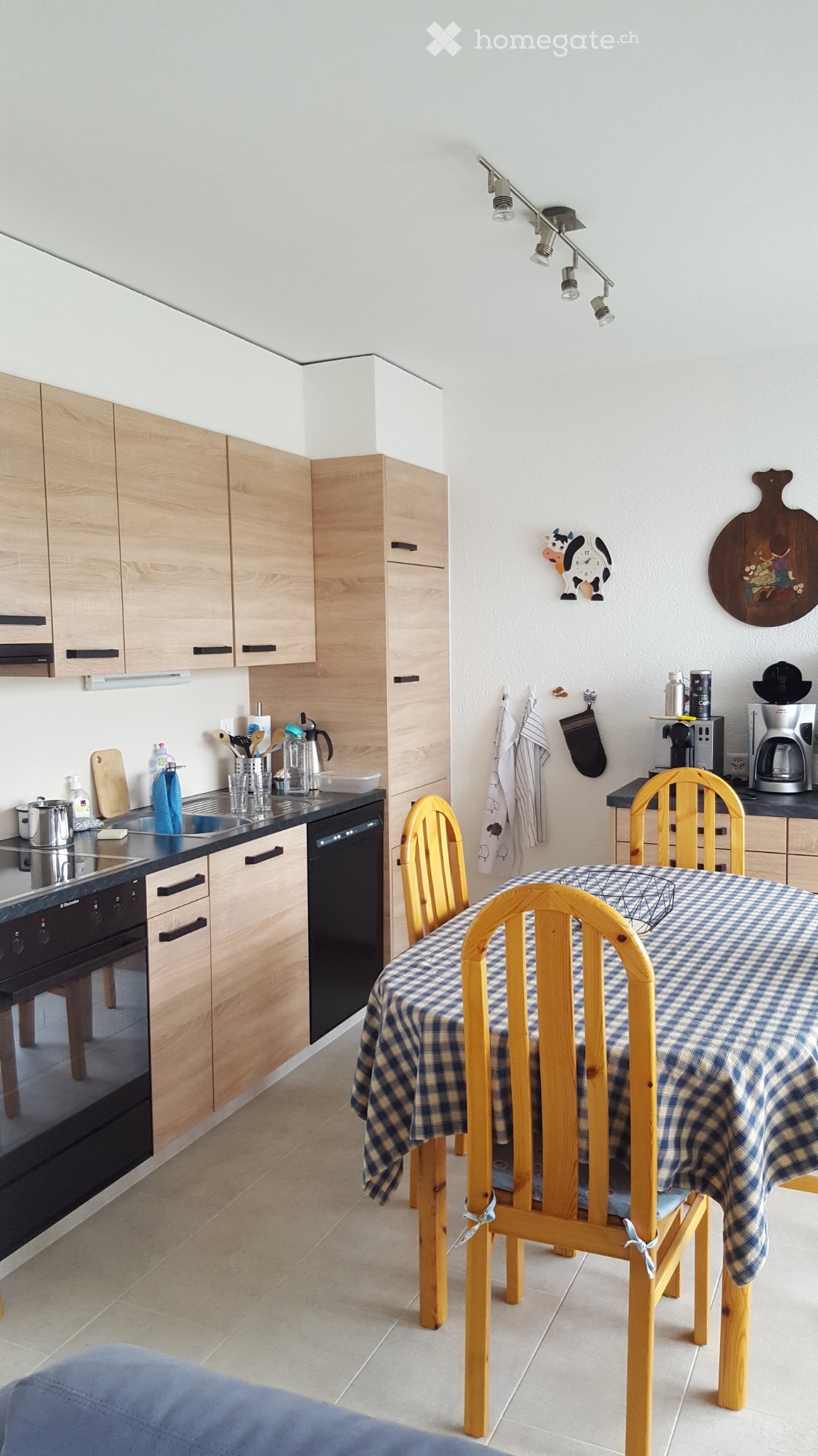 2 ½ Zimmer-Wohnung