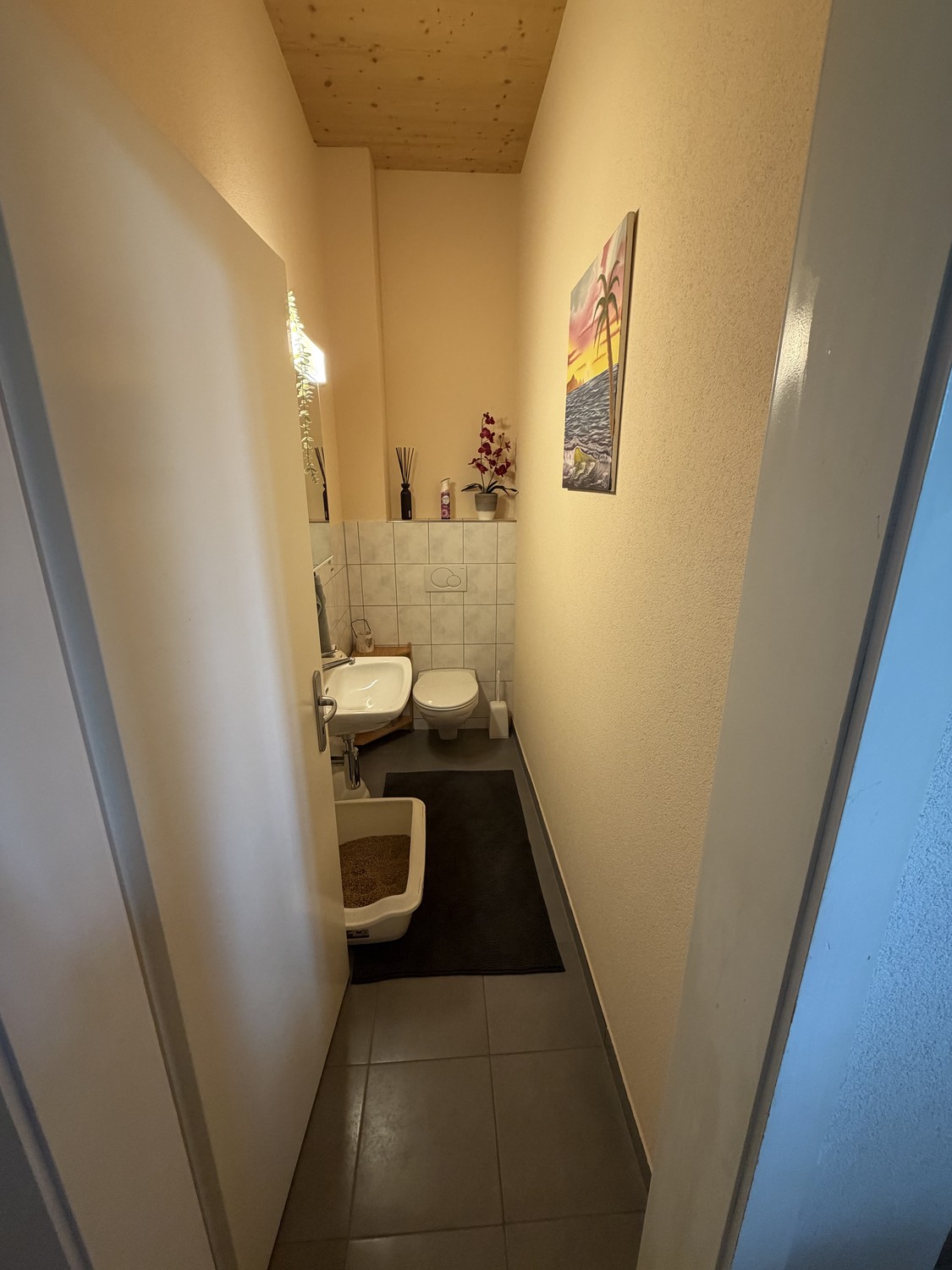 Appartamento di 4 ½ locali