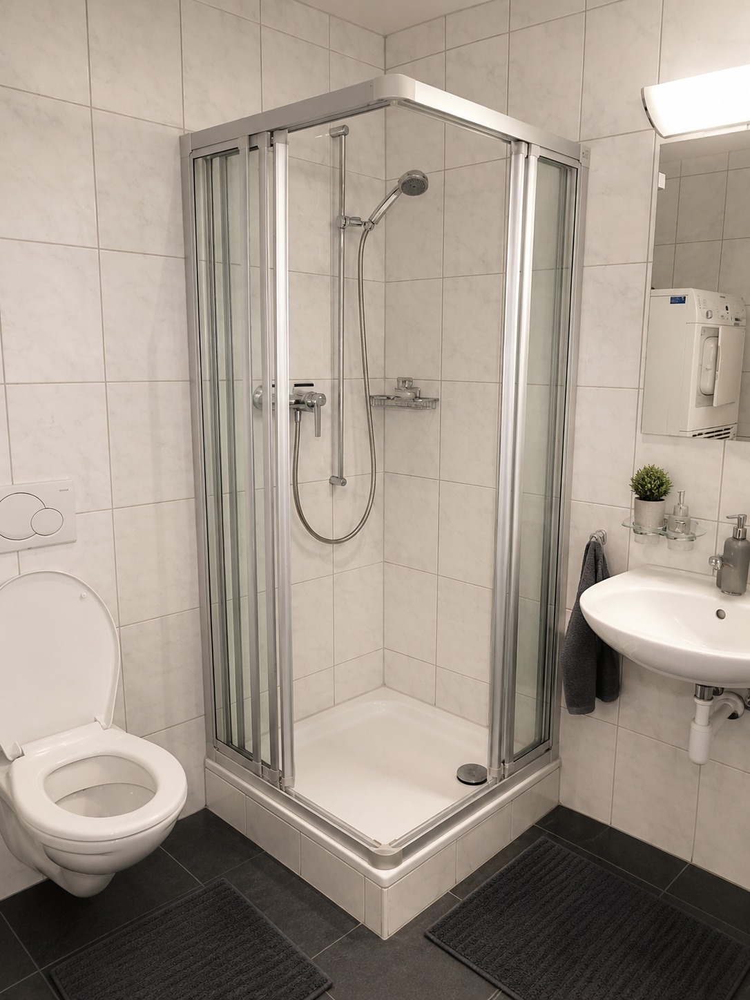2 ½ Zimmer möblierte Wohnung