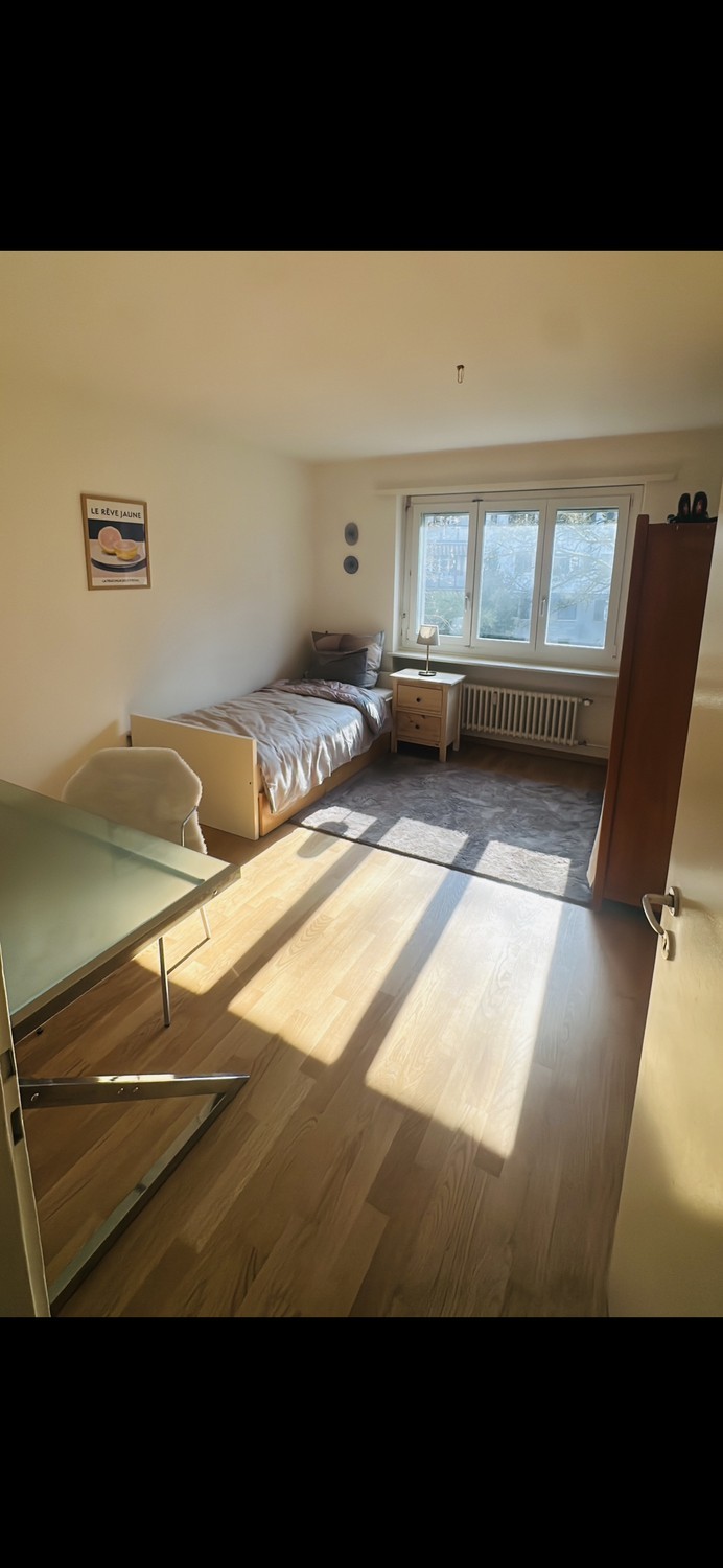 Room in a shared flat
