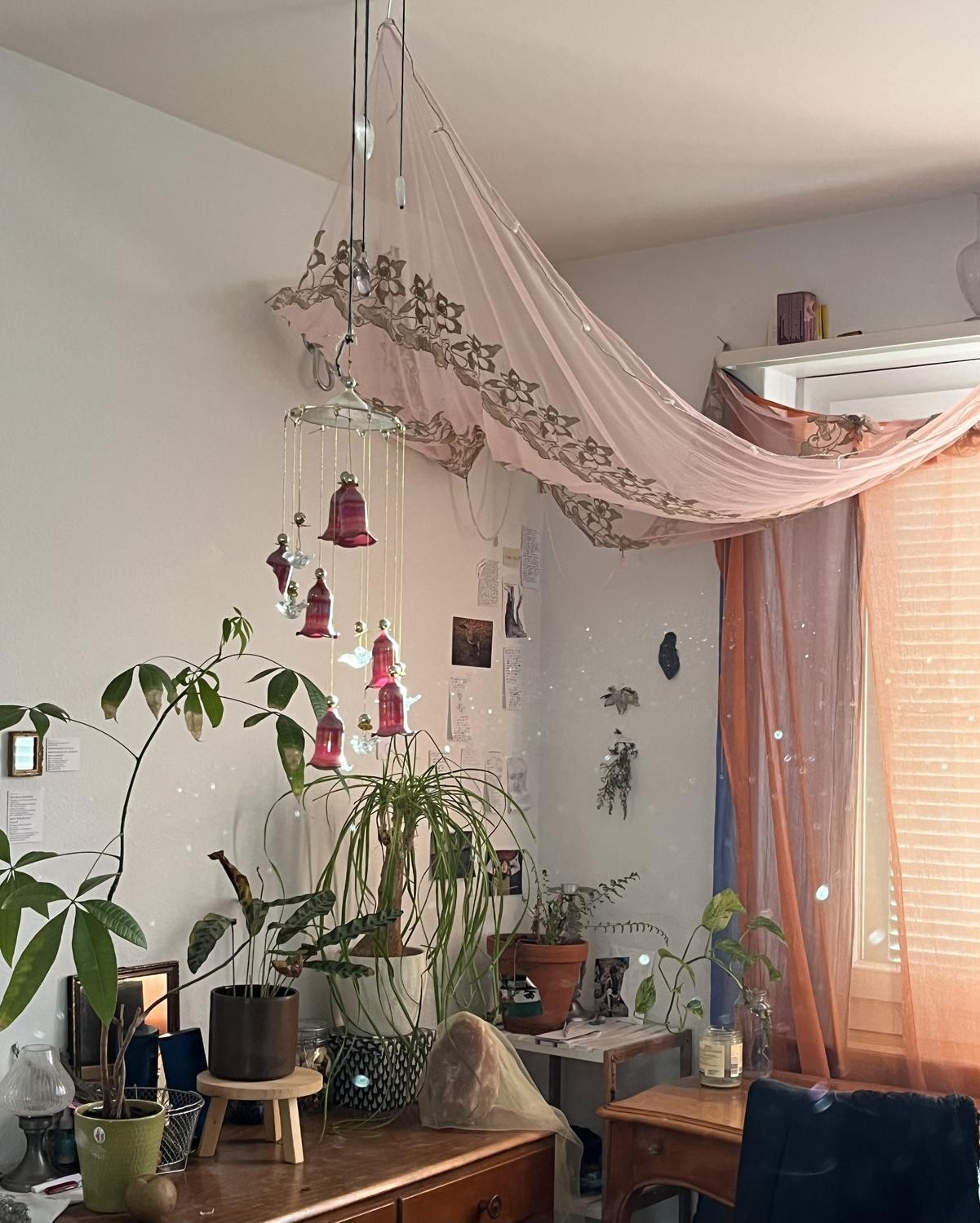 Chambre en colocation