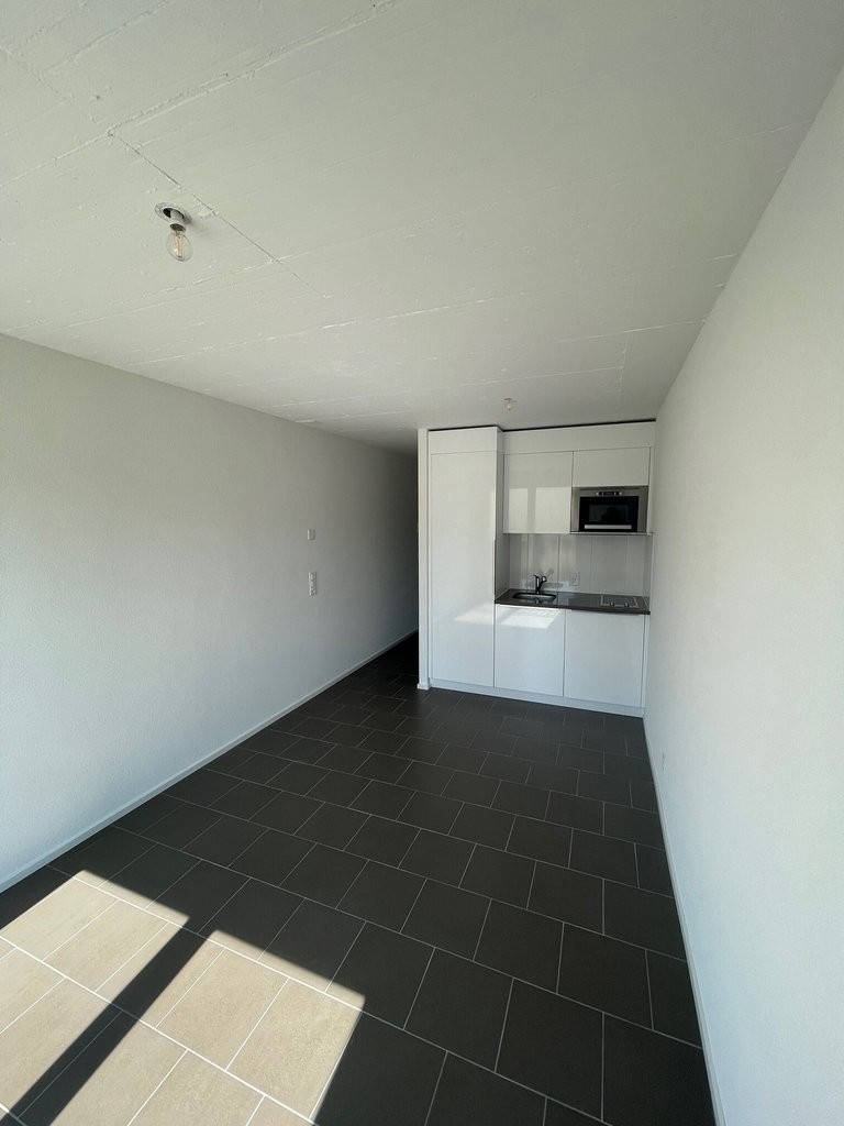 1 ½ Zimmer Wohnung
