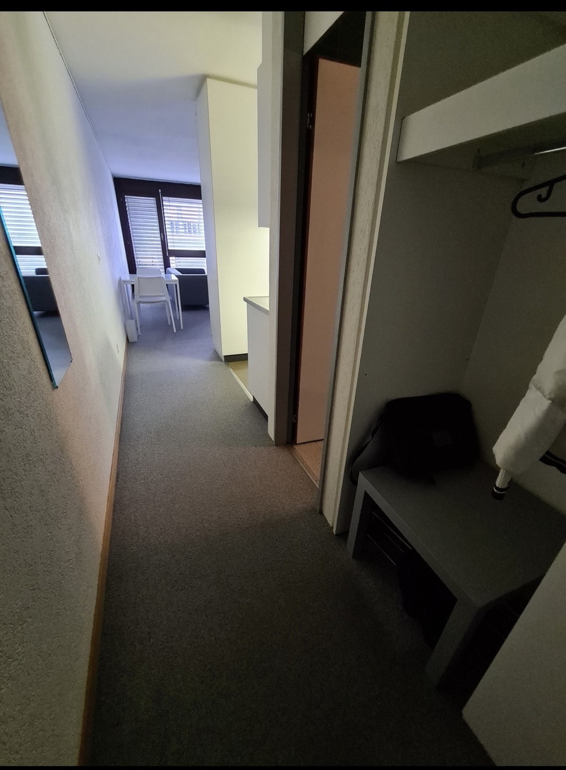 Appartement 1 pièce