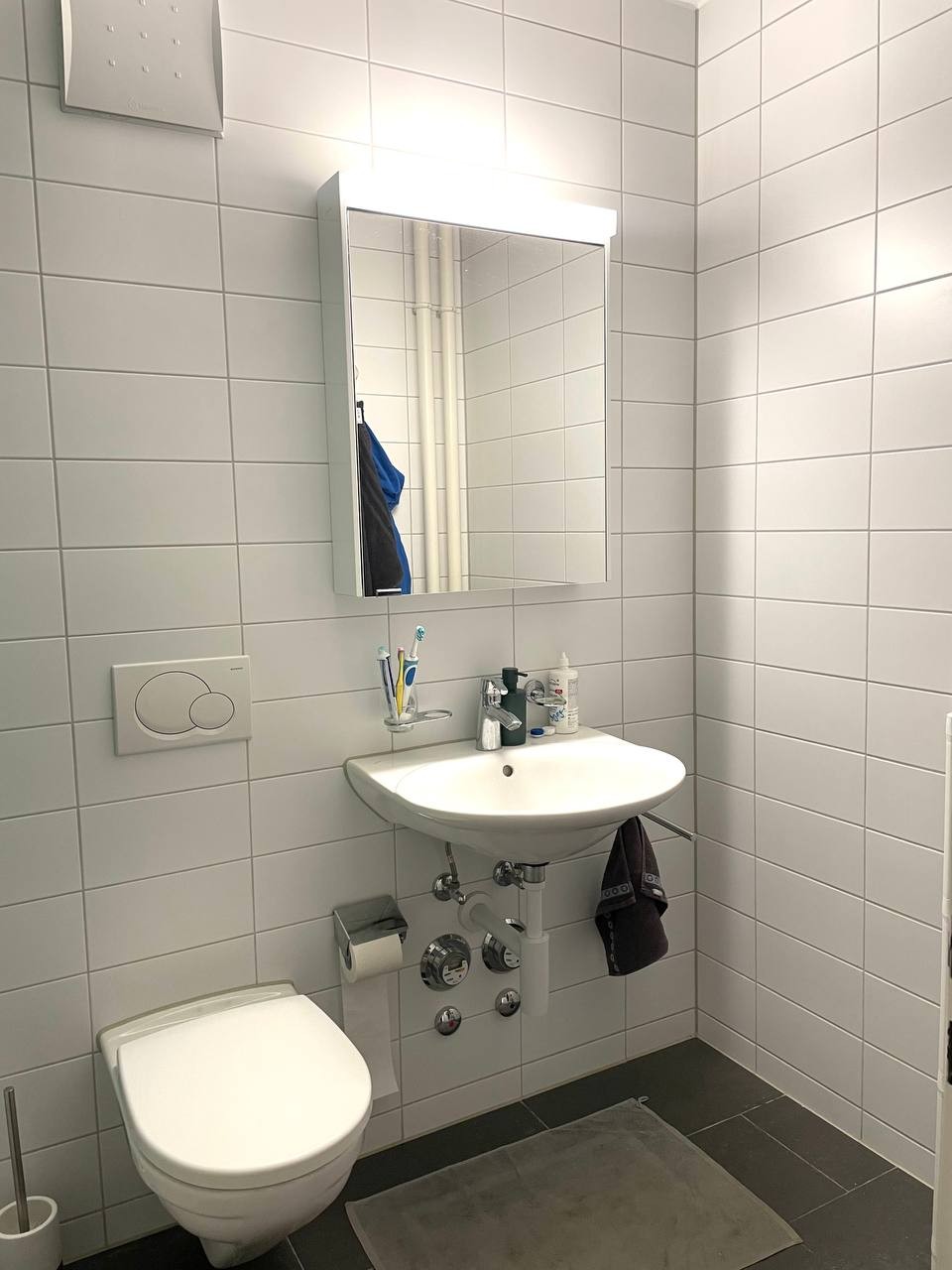 2 ½ Zimmer Wohnung