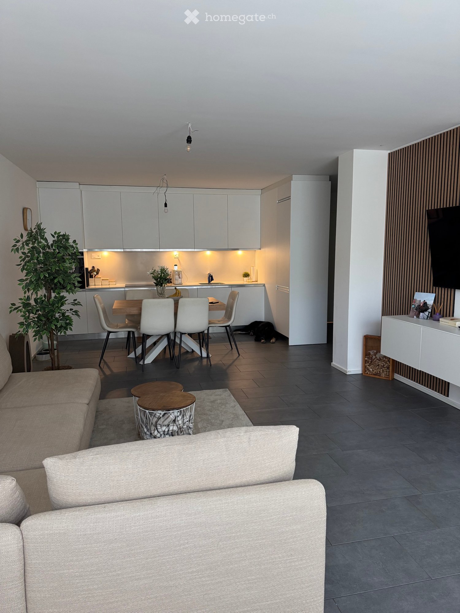 Appartement de 3 ½ pièces