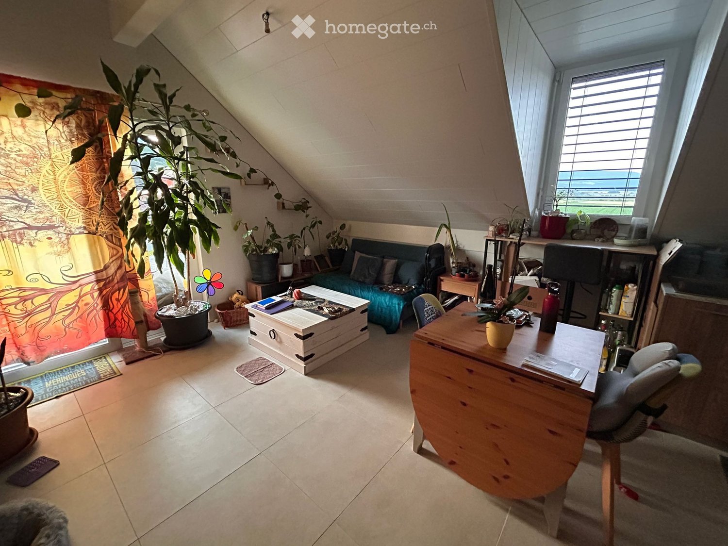 3 rooms apartment