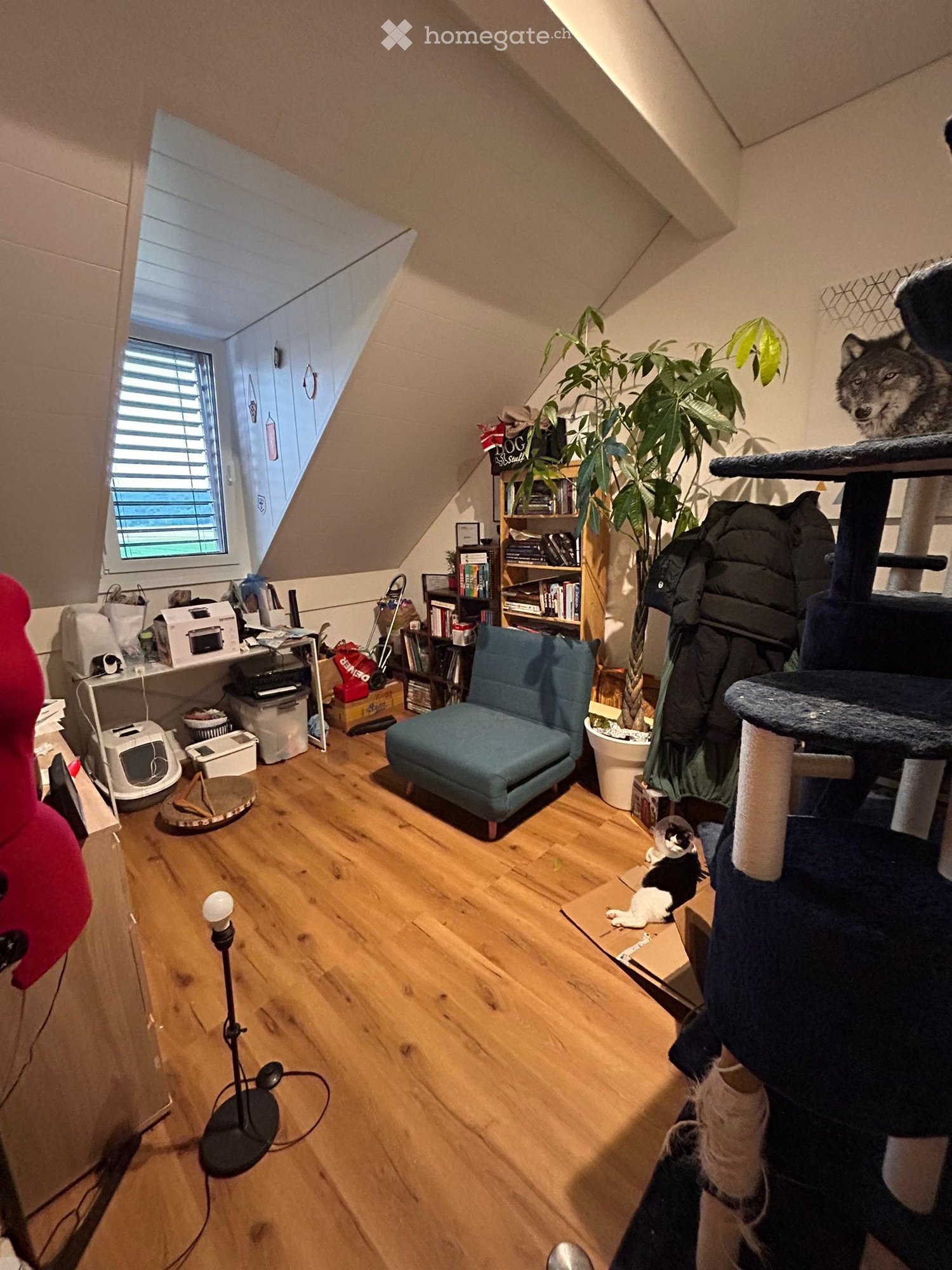 3 rooms apartment