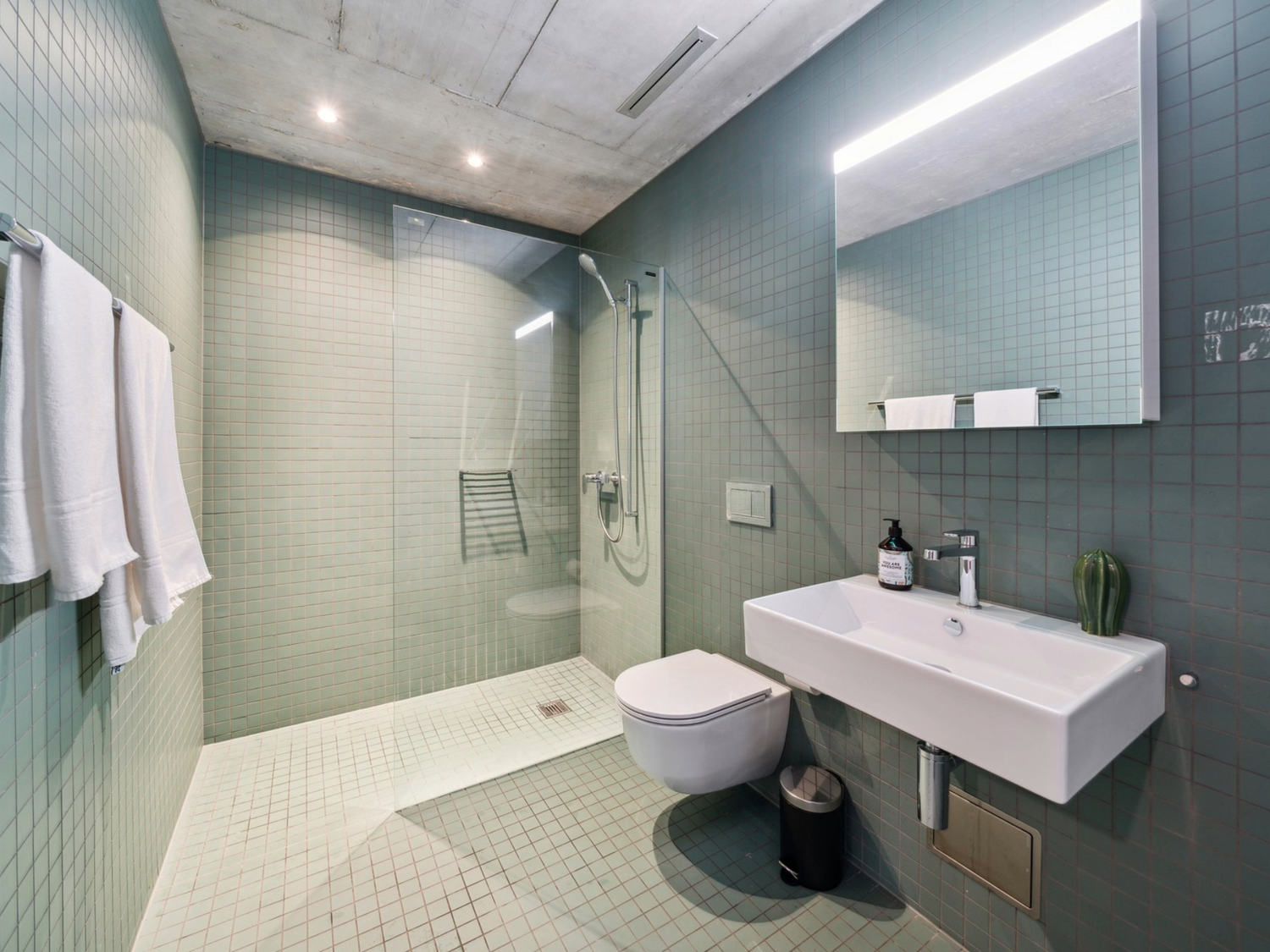 2 ½ rooms apartment