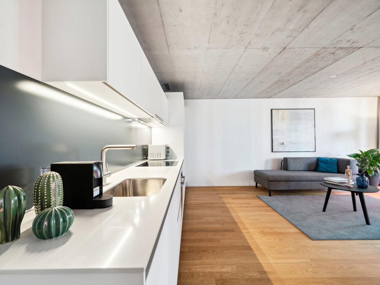 2 ½ rooms apartment