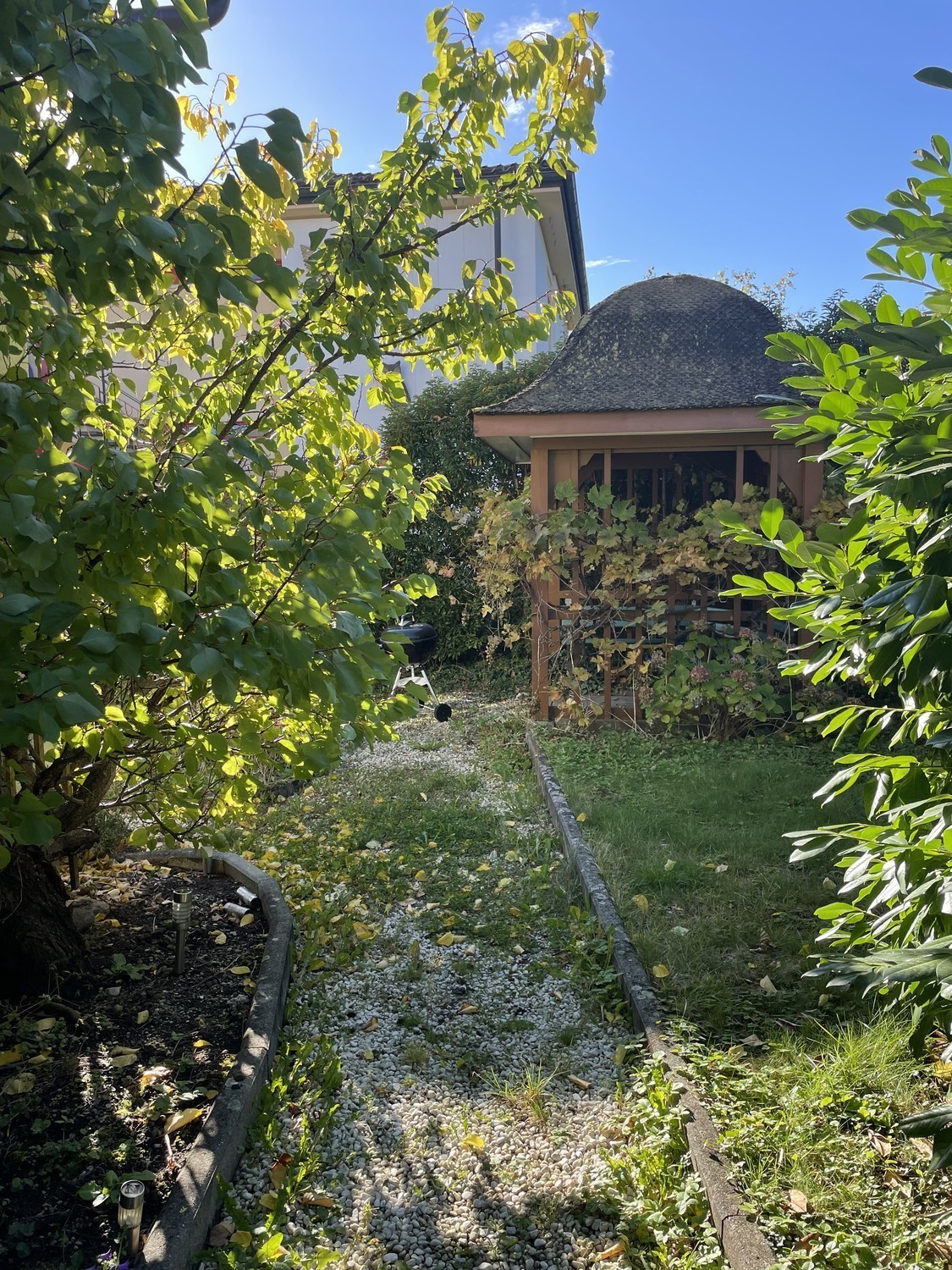 1-Zimmer-Einfamilienhaus