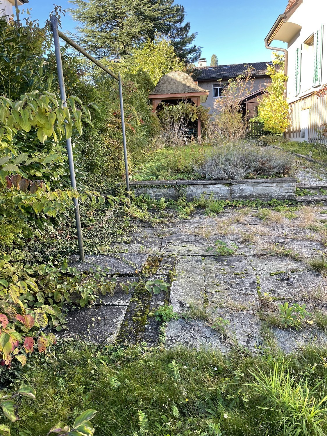 1-Zimmer-Einfamilienhaus