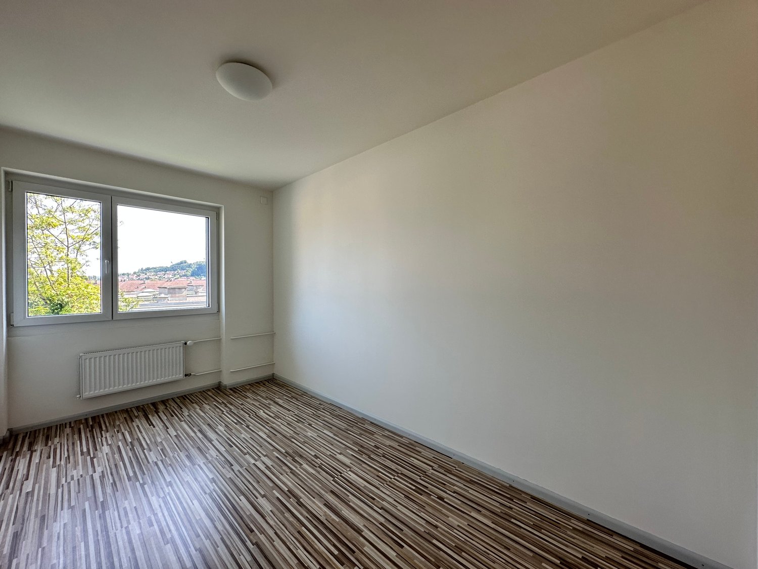 3 ½ Zimmer Wohnung