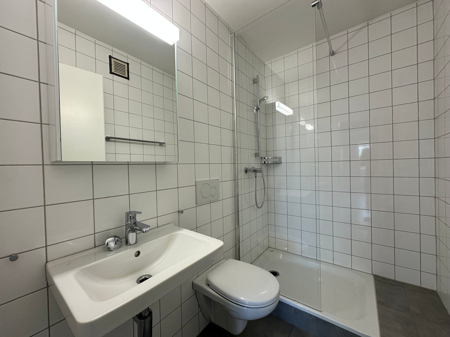 3 ½ Zimmer Wohnung