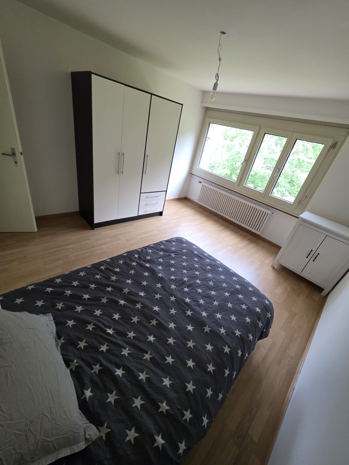 Room in a shared flat