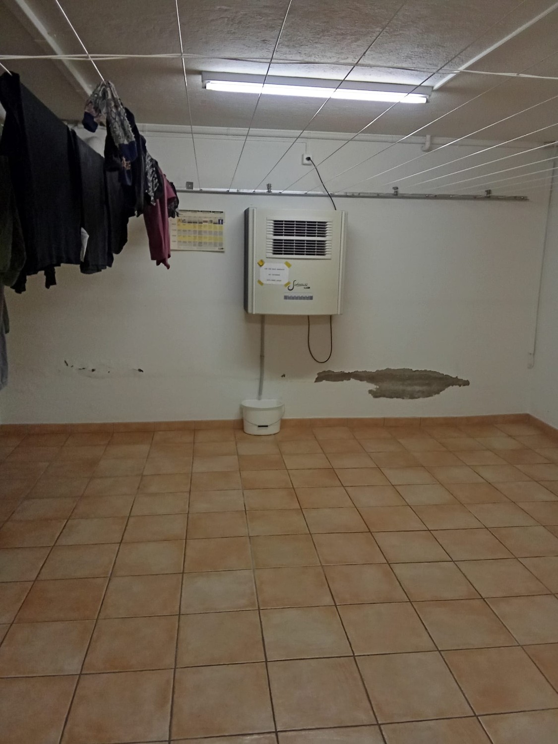 1 pièce à louer