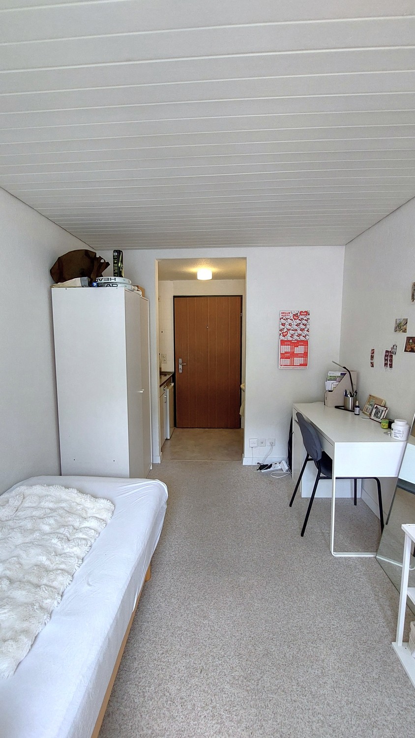 appartement 1 pièce