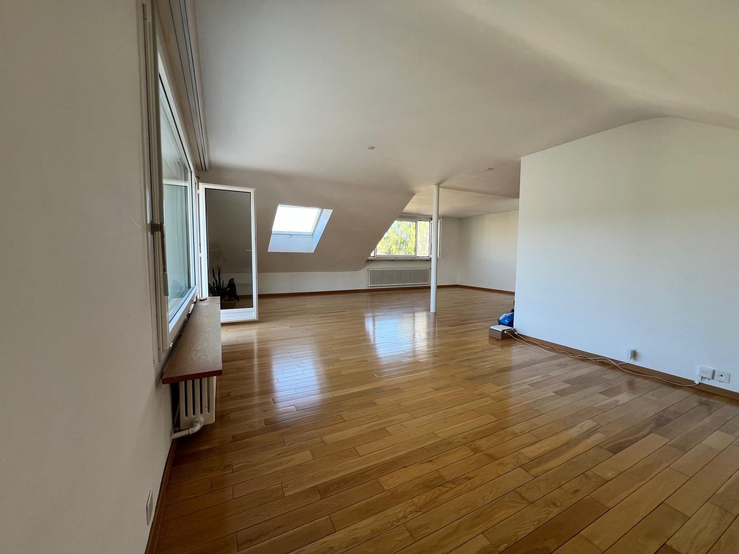 4 ½ Zimmer Wohnung