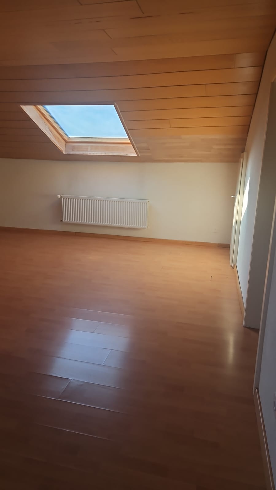 2 ½ Zimmer-Wohnung