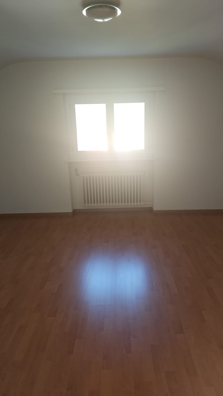 2 ½ Zimmer-Wohnung