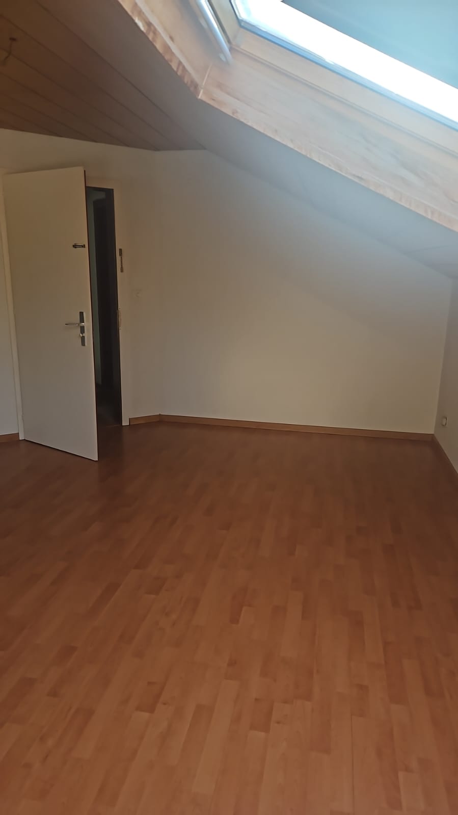 2 ½ Zimmer-Wohnung
