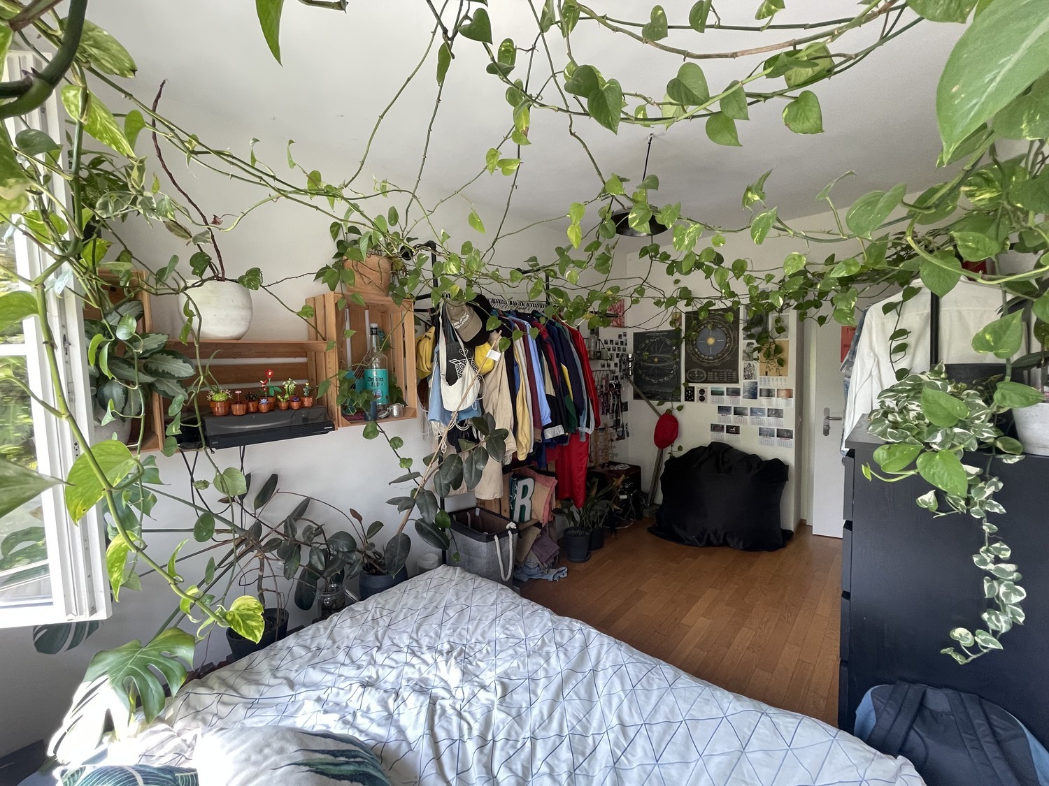 Room in a shared flat