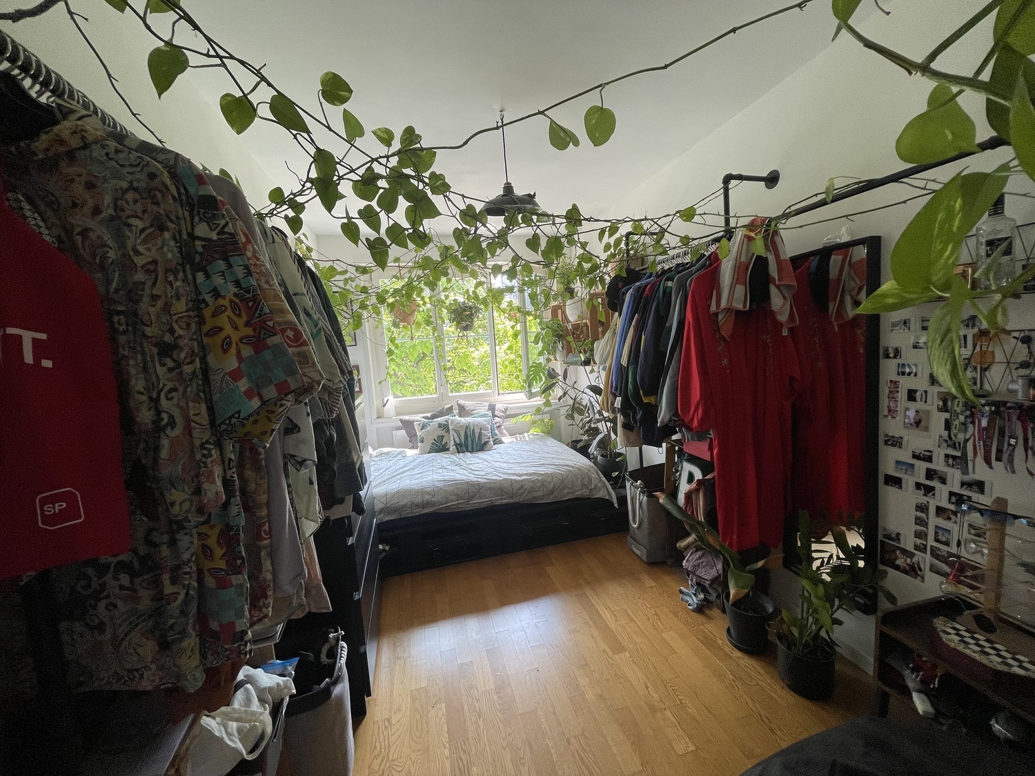 Room in a shared flat