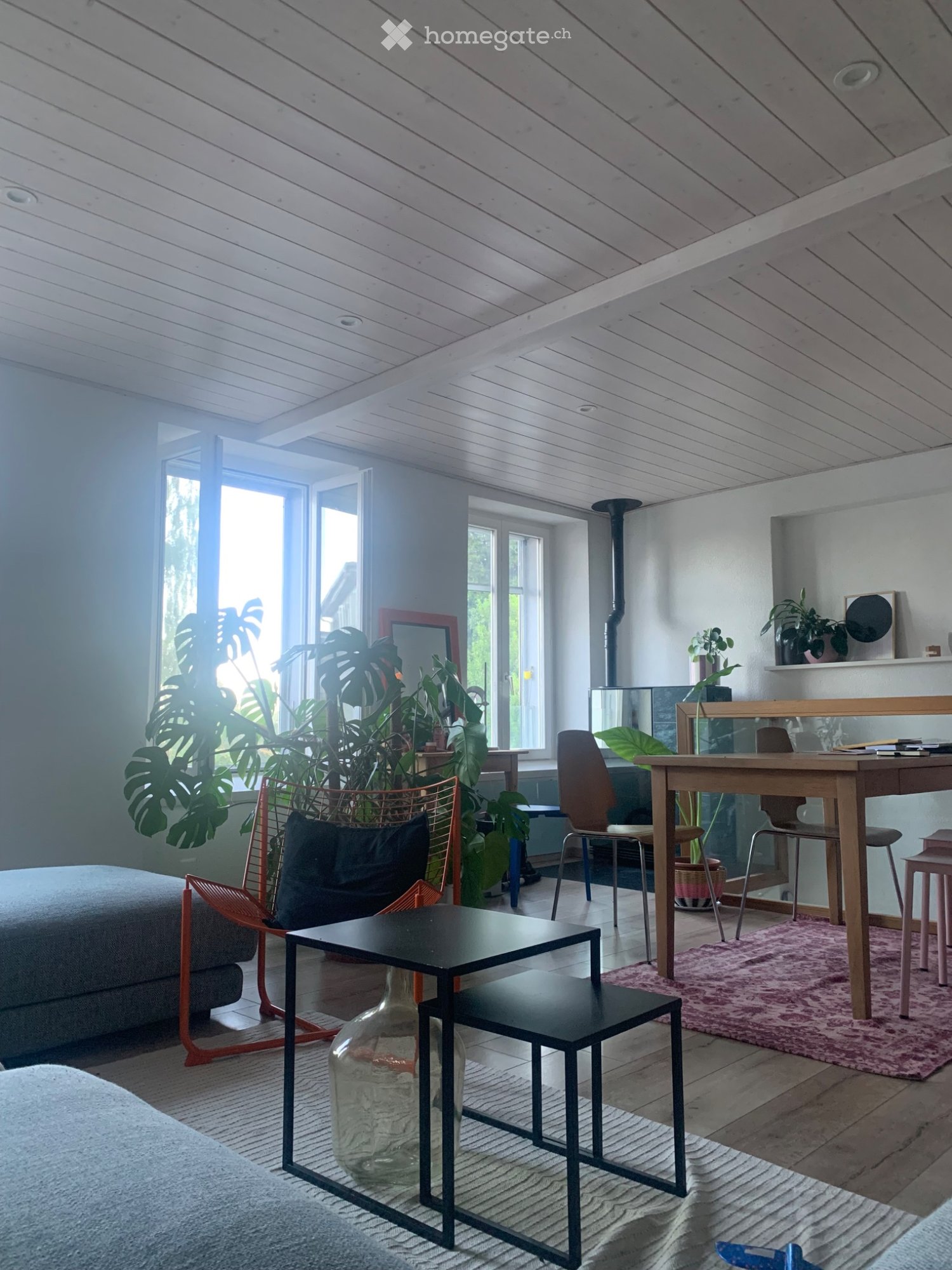 4 ½ Zimmer-Wohnung