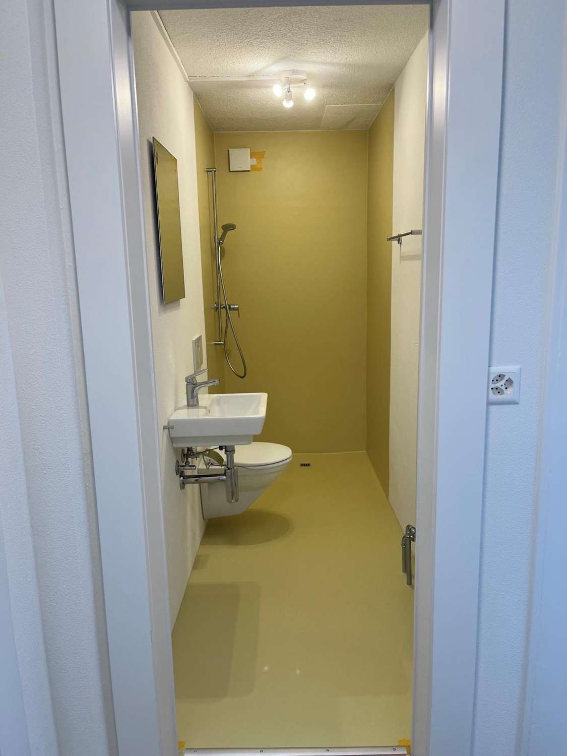 Room in a shared flat