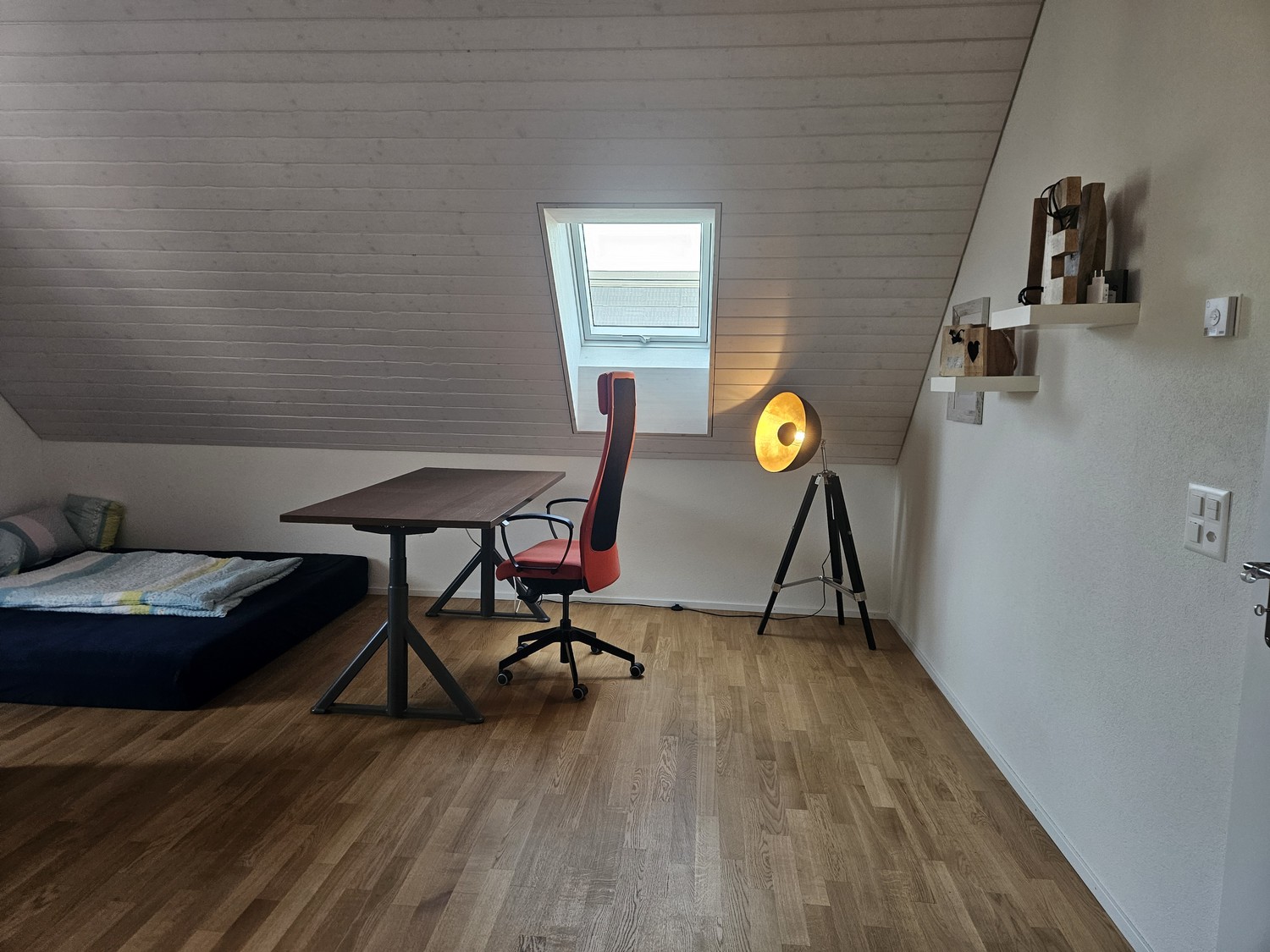 Room in a shared flat