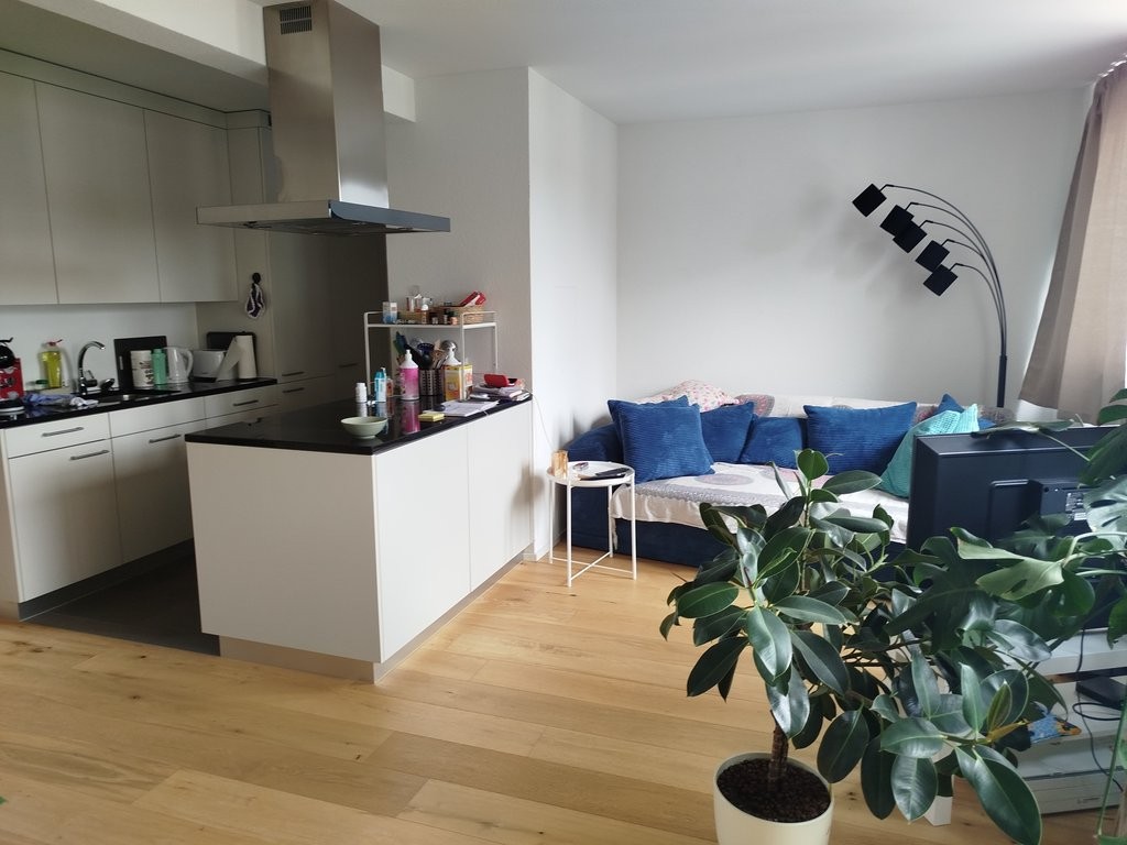 Appartamento di 2 ½ locali