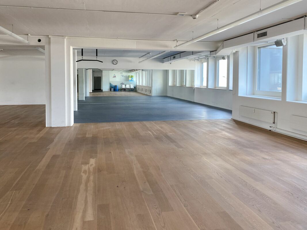 699m² commerciale