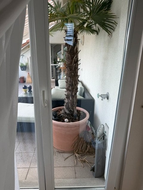 1 chambre, chambre individuelle
