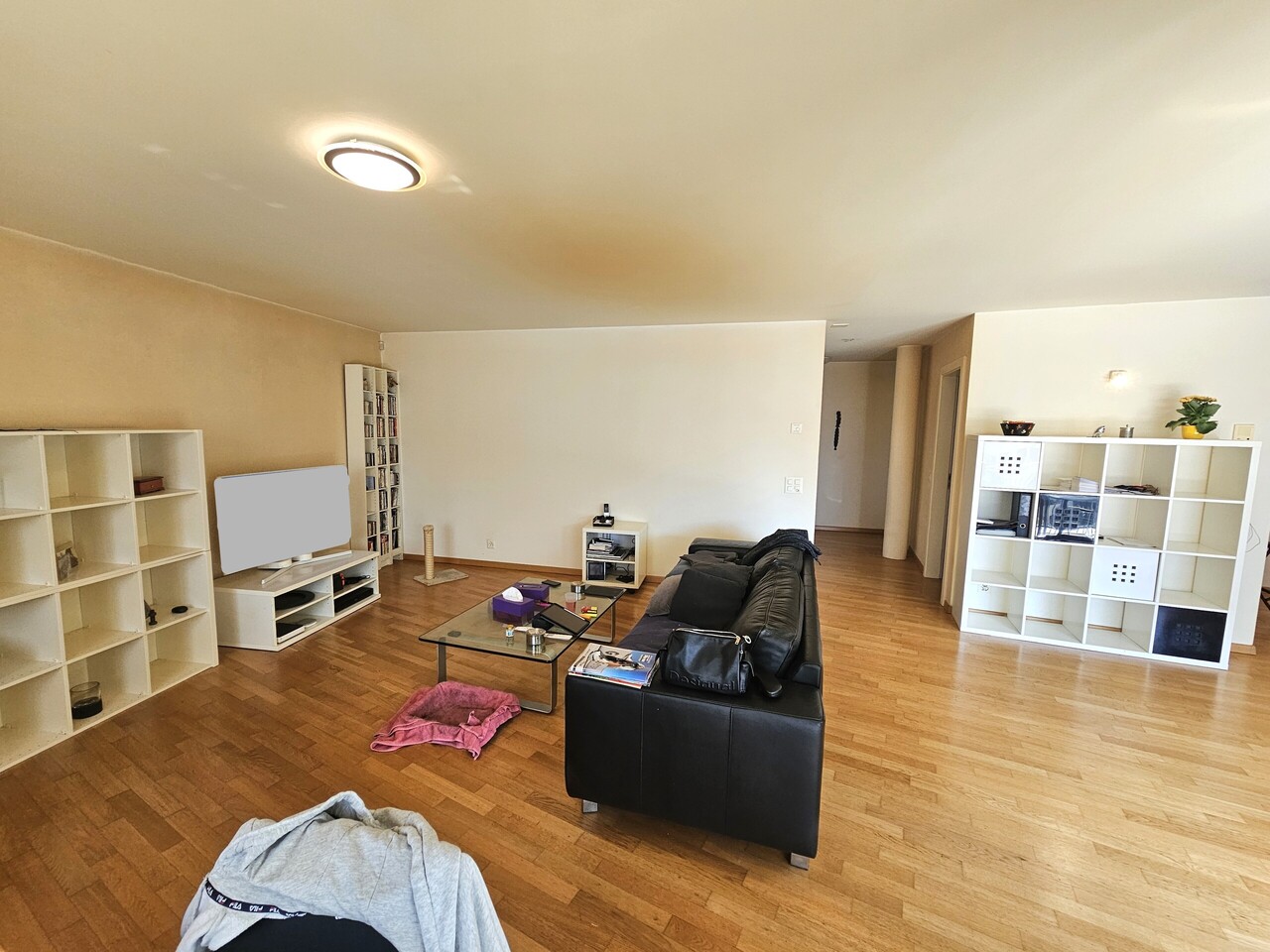 Appartamento di 4 ½ locali
